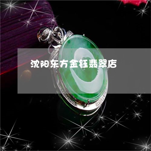 沈阳东方金钰翡翠店/2023041549469