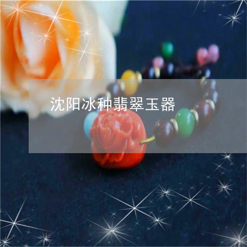 沈阳冰种翡翠玉器/2023032058260 沈阳冰种翡翠玉器/2023032058260