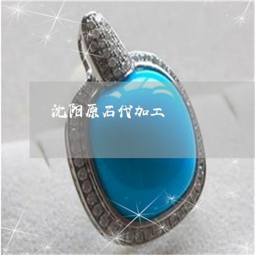沈阳原石代加工/2023040135938 沈阳原石代加工/2023040135938