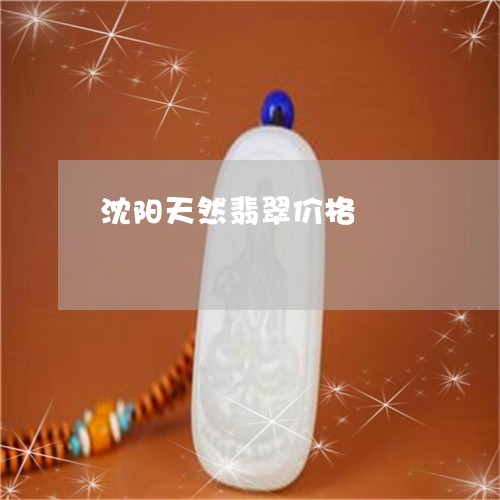沈阳天然翡翠价格/2023032052636