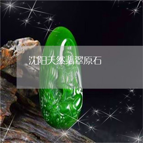 沈阳天然翡翠原石/2023032084949