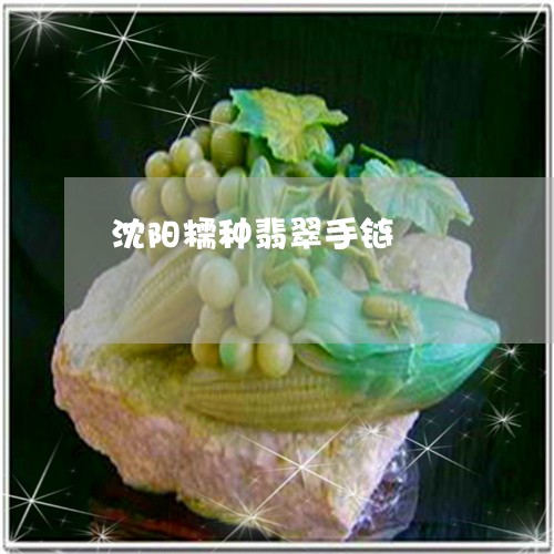 沈阳糯种翡翠手链/2023031974138 沈阳糯种翡翠手链/2023031974138