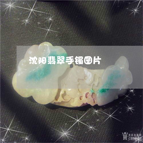 沈阳翡翠手镯图片/2023031987360 沈阳翡翠手镯图片/2023031987360