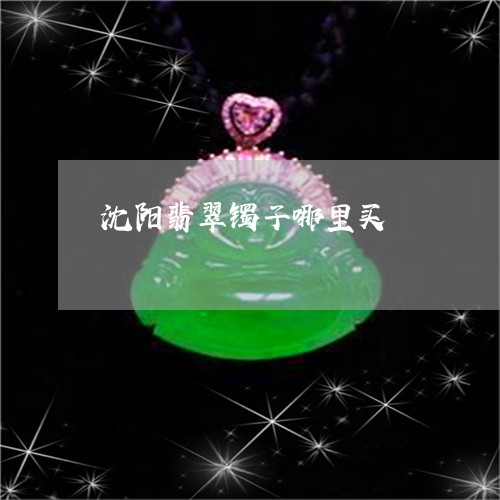 沈阳翡翠镯子哪里买/2023041592705