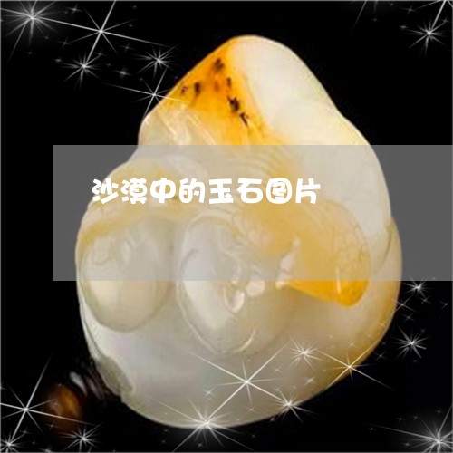 沙漠中的玉石图片/2023031915937 沙漠中的玉石图片/2023031915937