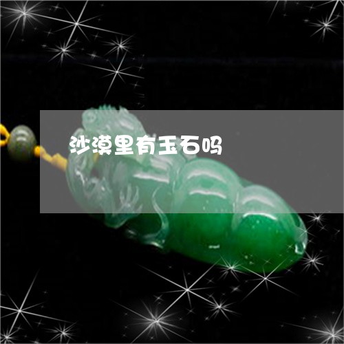 沙漠里有玉石吗/2023040130512 沙漠里有玉石吗/2023040130512