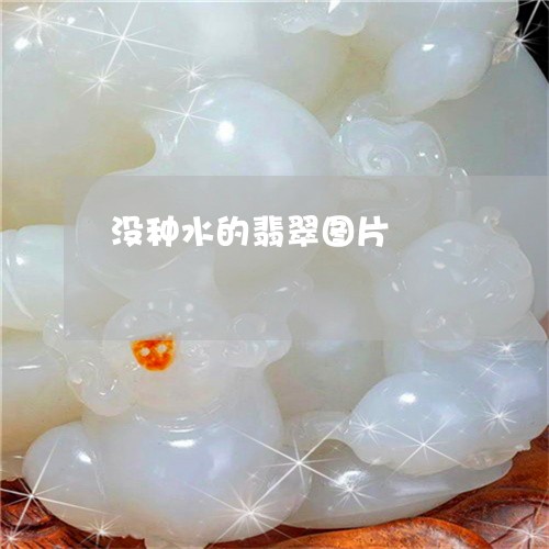 没种水的翡翠图片/2023031972849