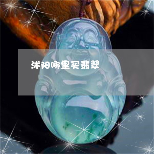 沭阳哪里买翡翠/2023040142525