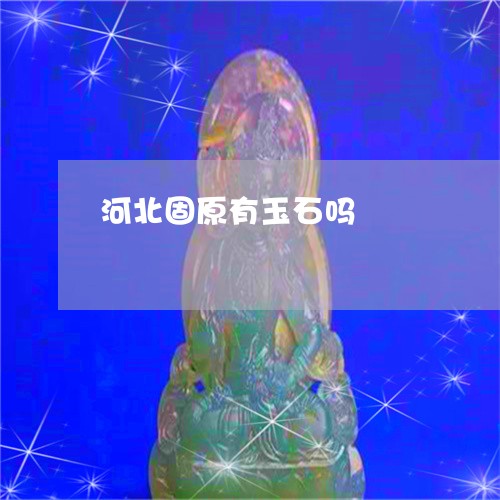 河北固原有玉石吗/2023031994257 河北固原有玉石吗/2023031994257