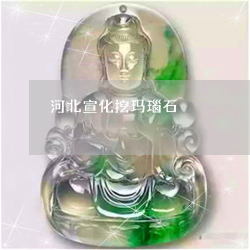 河北宣化挖玛瑙石/2023031932746 河北宣化挖玛瑙石/2023031932746