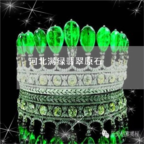 河北满绿翡翠原石/2023031974825 河北满绿翡翠原石/2023031974825