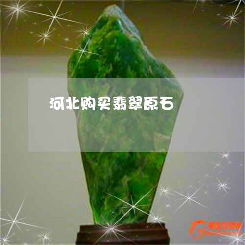 河北购买翡翠原石/2023031915148