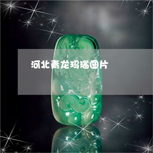 河北青龙玛瑙图片/2023031907382