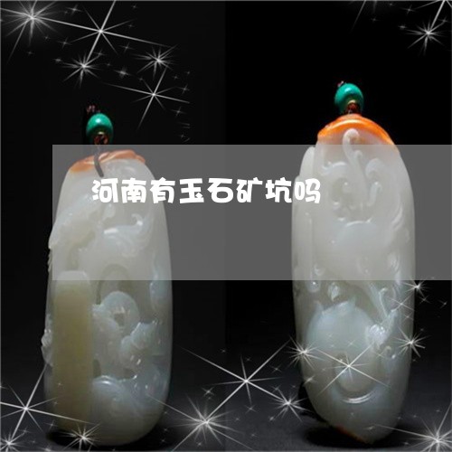 河南有玉石矿坑吗/2023031965251