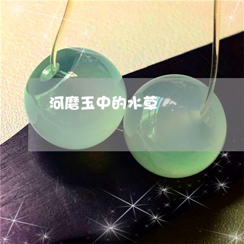 河磨玉中的水草/2023040138359