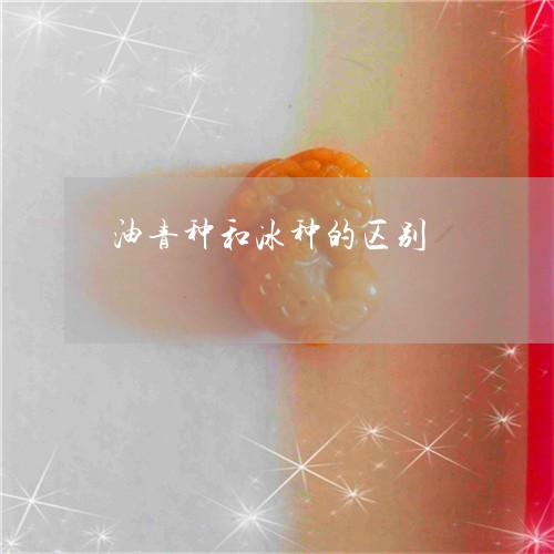 油青种和冰种的区别/2023041506249