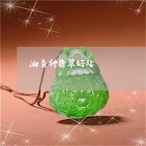 油青种翡翠好处/2023040154704