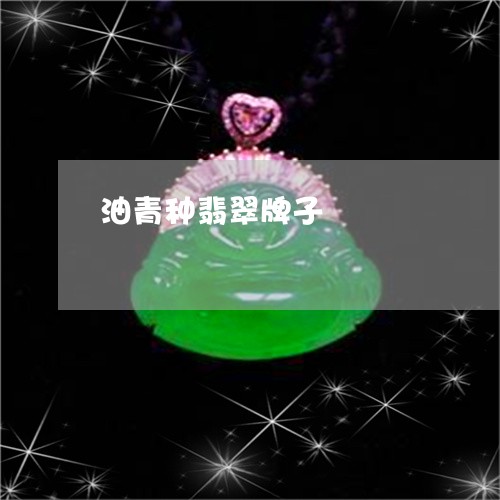 油青种翡翠牌子/2023040140512