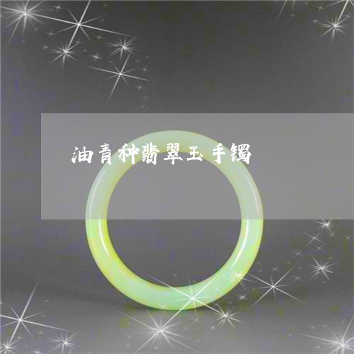 油青种翡翠玉手镯/2023031900481