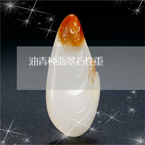 油青种翡翠石性重/2023031951703