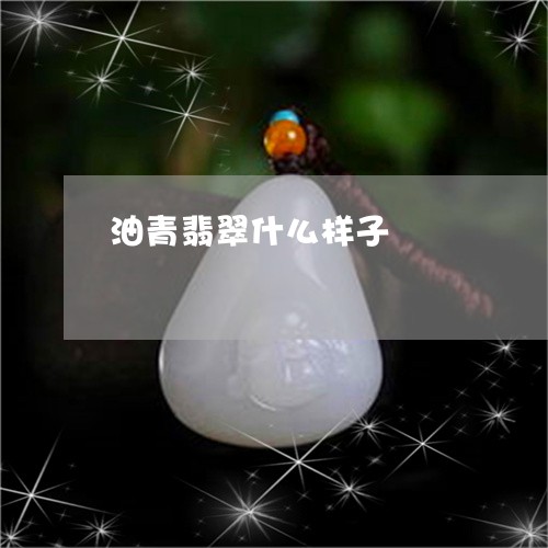 油青翡翠什么样子/2023031956150 油青翡翠什么样子/2023031956150