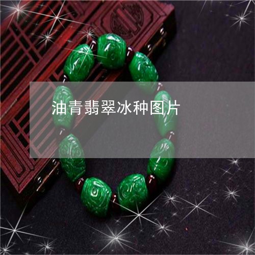油青翡翠冰种图片/2023031947269 油青翡翠冰种图片/2023031947269