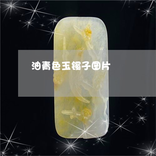 油青色玉镯子图片/2023031941504 油青色玉镯子图片/2023031941504