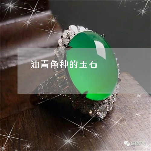 油青色种的玉石/2023040137258