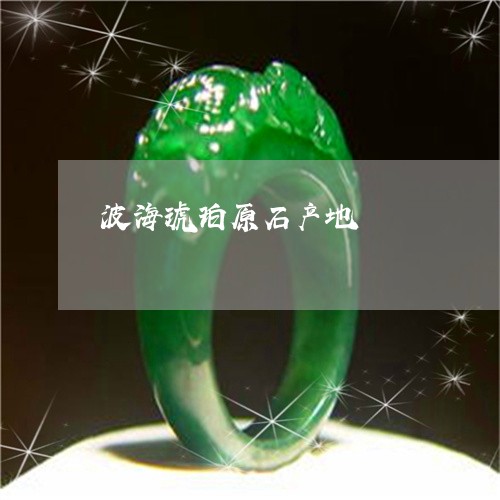 波海琥珀原石产地/2023031904269 波海琥珀原石产地/2023031904269