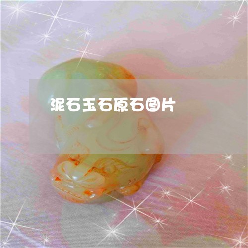 泥石玉石原石图片/2023031942514