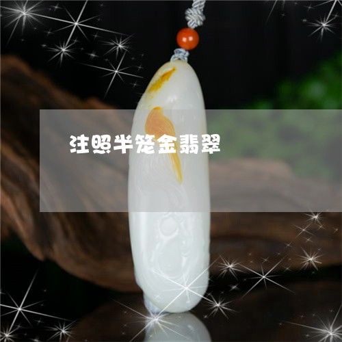注照半笼金翡翠/2023033142737