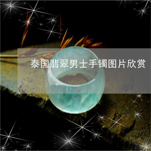 泰国翡翠男士手镯图片欣赏/2023071148463 泰国翡翠男士手镯图片欣赏/2023071148463