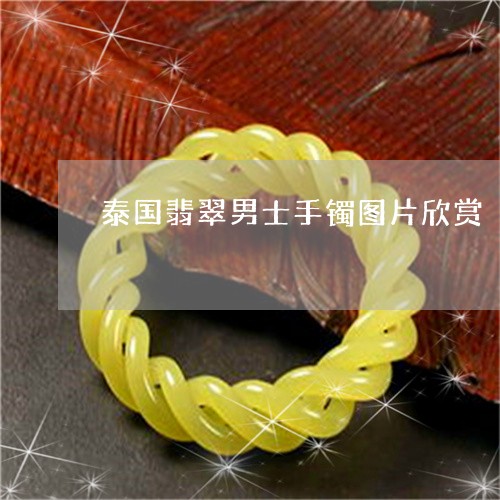 泰国翡翠男士手镯图片欣赏/2023071151693 泰国翡翠男士手镯图片欣赏/2023071151693