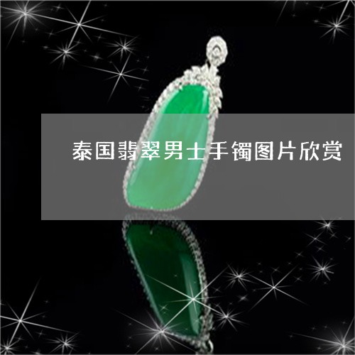泰国翡翠男士手镯图片欣赏/2023071157379 泰国翡翠男士手镯图片欣赏/2023071157379