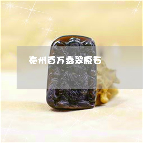 泰州百万翡翠原石/2023031904959 泰州百万翡翠原石/2023031904959