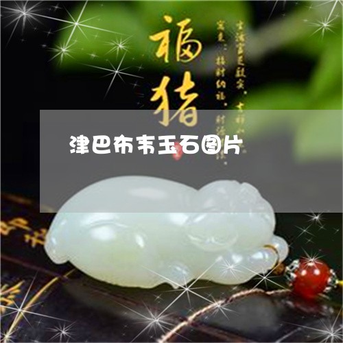 津巴布韦玉石图片/2023031908359 津巴布韦玉石图片/2023031908359