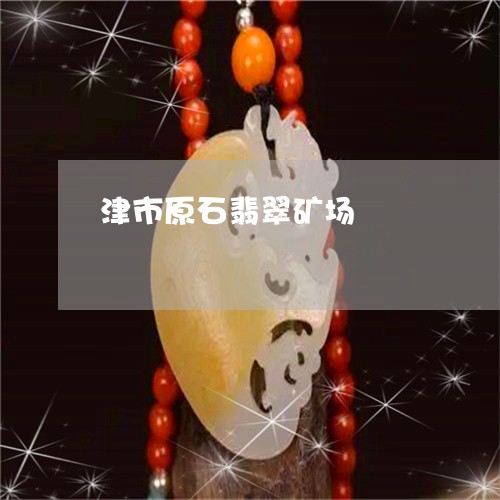 津市原石翡翠矿场/2023031918692 津市原石翡翠矿场/2023031918692