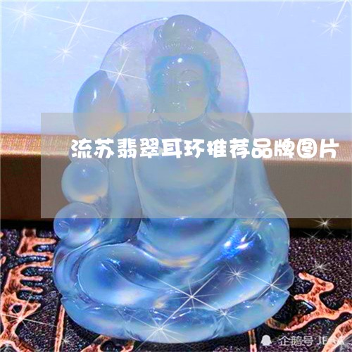 流苏翡翠耳环推荐品牌图片/2023061934816 流苏翡翠耳环推荐品牌图片/2023061934816