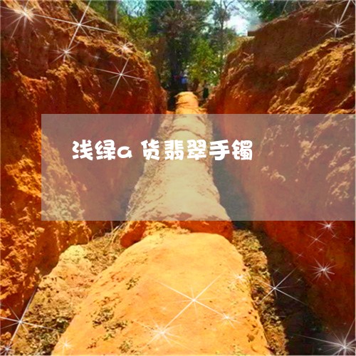 浅绿a货翡翠手镯/2023031911603