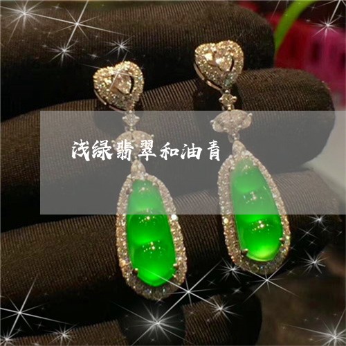 浅绿翡翠和油青/2023040196058 浅绿翡翠和油青/2023040196058
