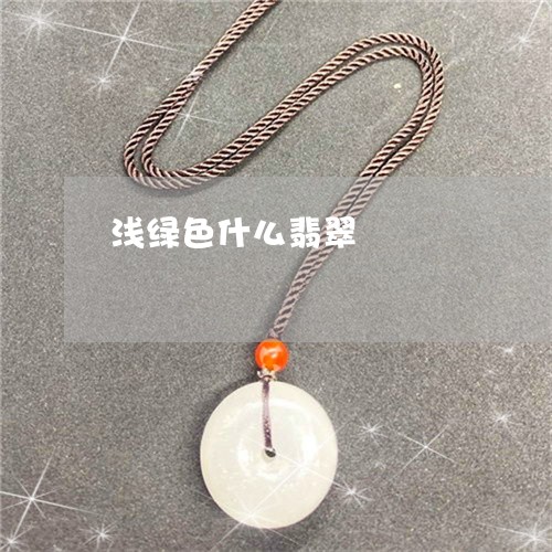 浅绿色什么翡翠/2023040186028 浅绿色什么翡翠/2023040186028