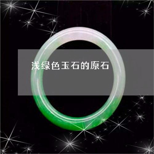 浅绿色玉石的原石/2023031939503 浅绿色玉石的原石/2023031939503