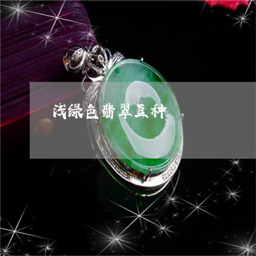 浅绿色翡翠豆种/2023033141614 浅绿色翡翠豆种/2023033141614