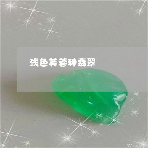 浅色芙蓉种翡翠/2023040115038 浅色芙蓉种翡翠/2023040115038