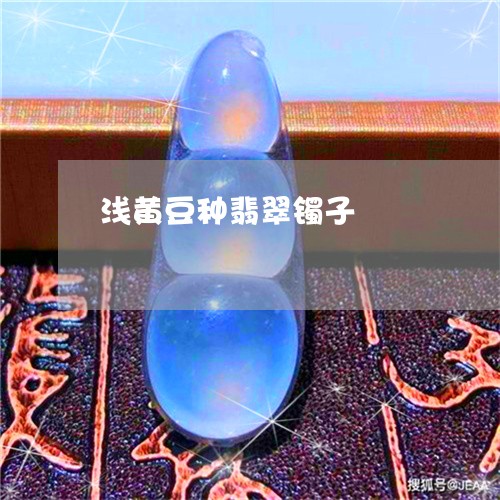 浅黄豆种翡翠镯子/2023031973816 浅黄豆种翡翠镯子/2023031973816