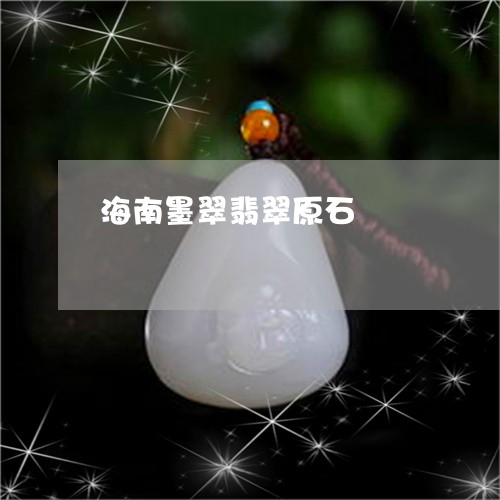 海南墨翠翡翠原石/2023031961814