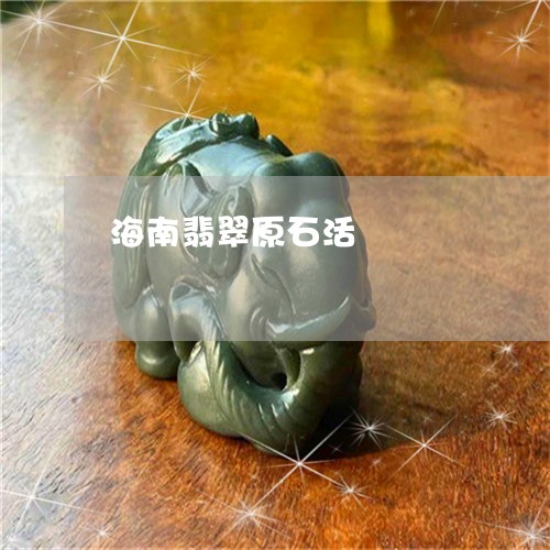 海南翡翠原石活/2023040194248