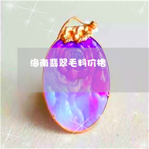 海南翡翠毛料价格/2023031983827