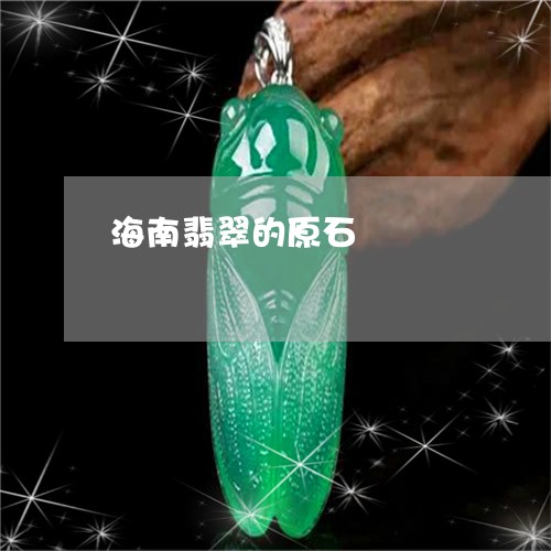 海南翡翠的原石/2023040136259 海南翡翠的原石/2023040136259