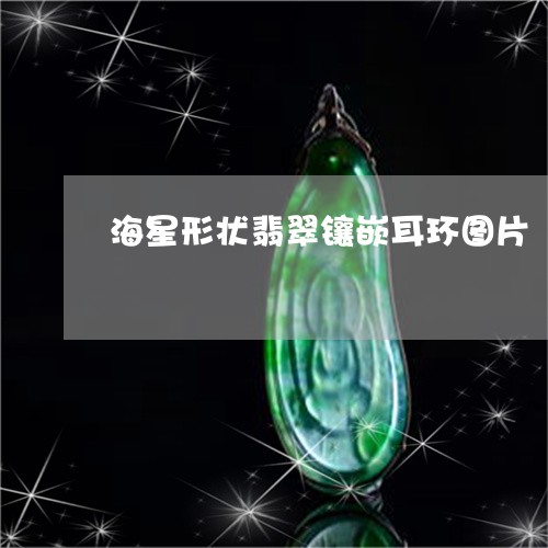 海星形状翡翠镶嵌耳环图片/2023062883804